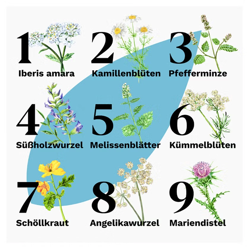 Iberogast® Classic bei akuten Magenschmerzen, Völlegefühl & Übelkeit