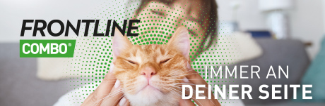 Frontline Combo Spot-on für Katzen gegen Flöhe und Zecken