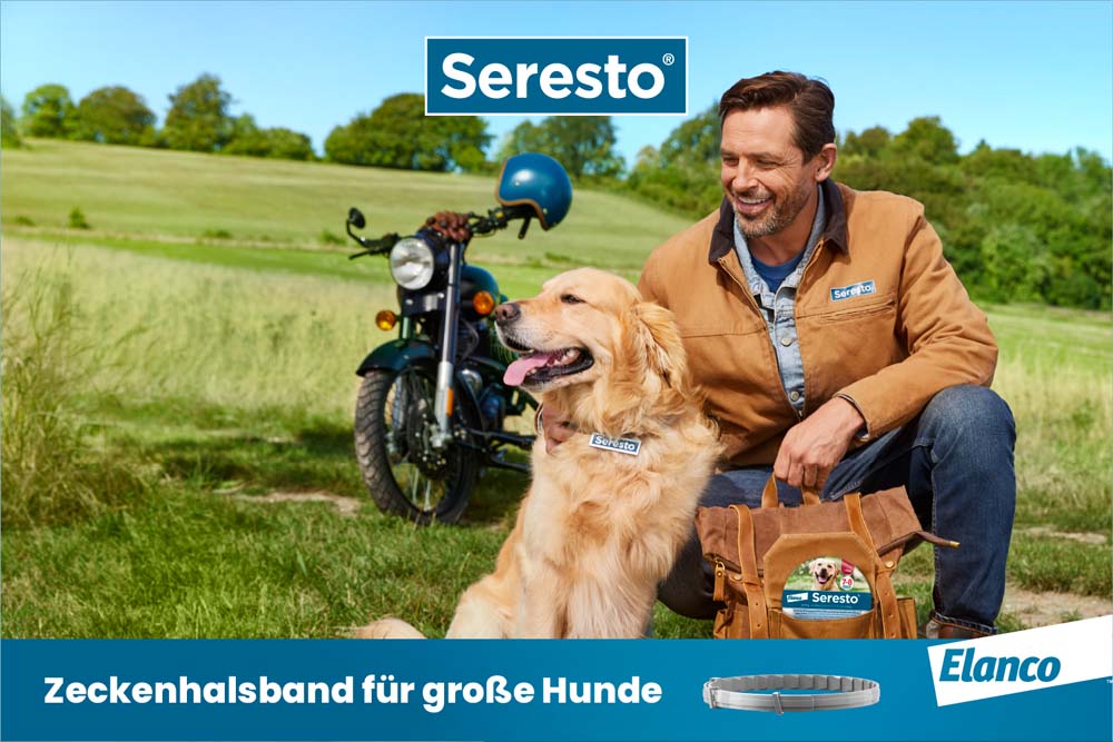 Seresto Halsband für große Hunde gegen Flöhe und Zecken