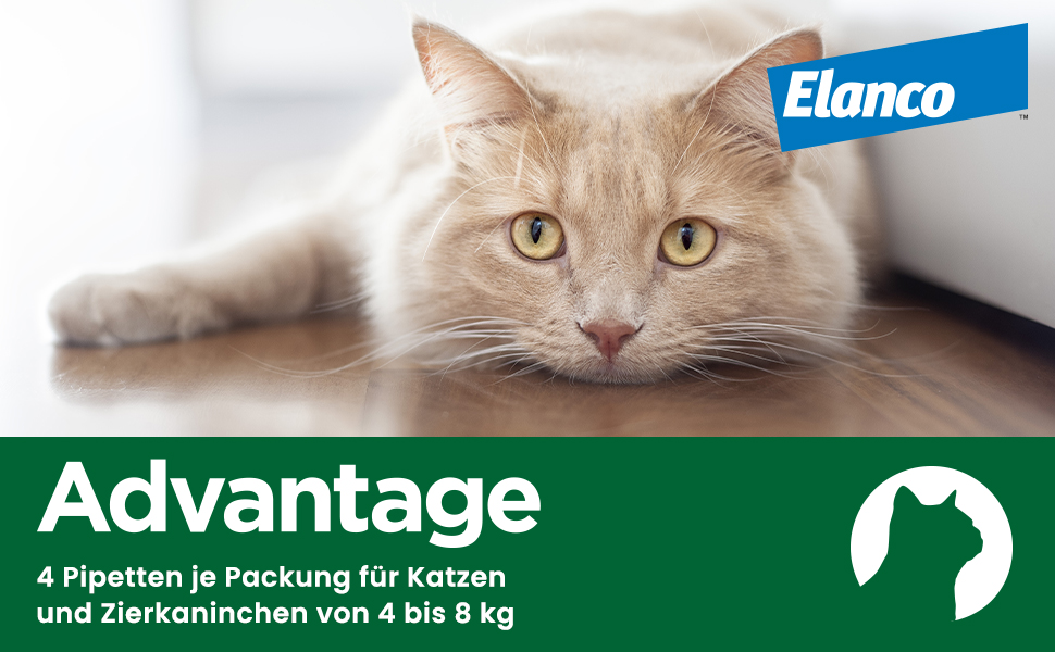 Advantage Spot-on 80 für große Katzen und Zierkaninchen gegen Flöhe