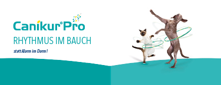 Canikur Pro pro- und präbiotische Paste für Hund und Katze