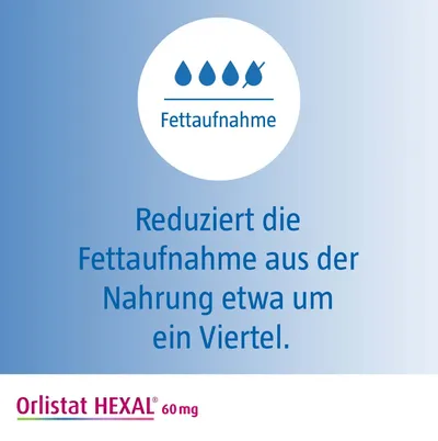 Orlistat Lipasehemmer Wirkweise im Darm