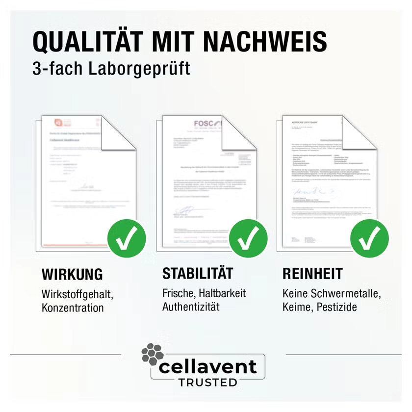 BRASSICA PLUS Kapseln