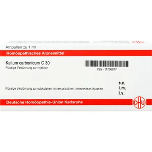 KALIUM CARBONICUM C 30 Ampullen
