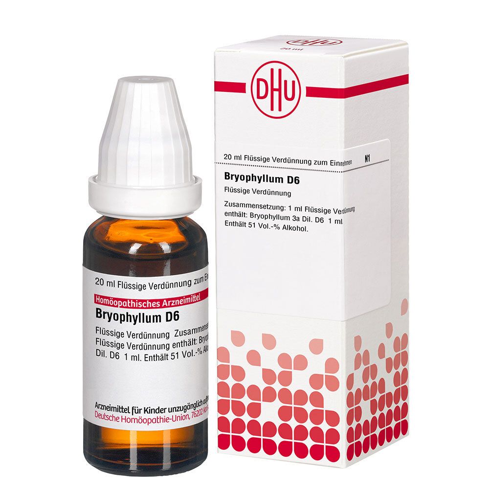 BRYOPHYLLUM D 6 Dilution