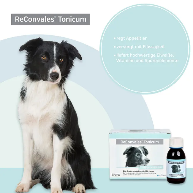 RECONVALES Tonicum für Hunde
