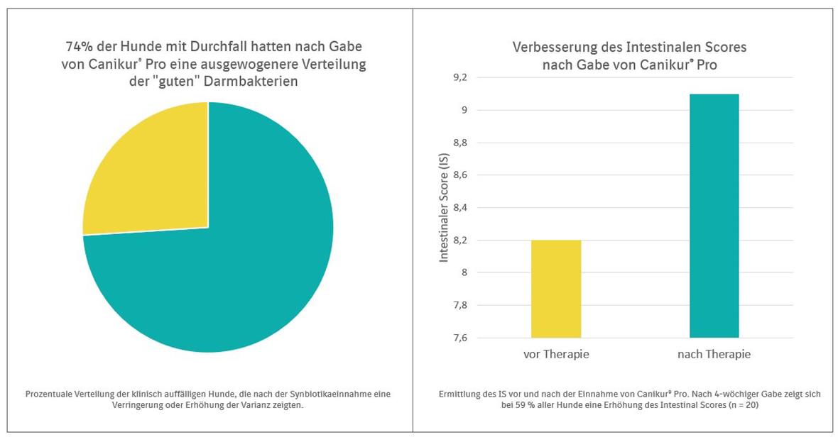 Canikur Pro Anwendung bei Hund und Katze