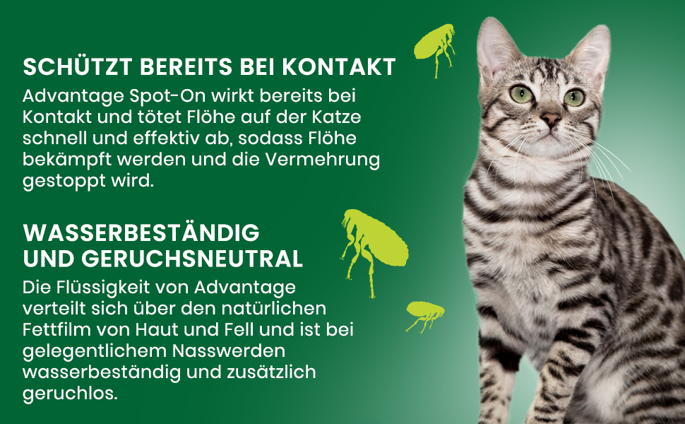 Advantage Spot-on Wirkstoff Imidacloprid