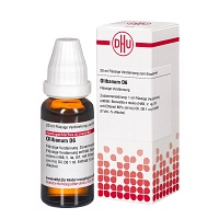OLIBANUM D 6 Dilution