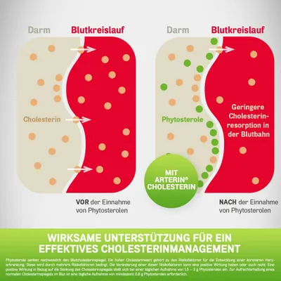 Arterin Cholesterin Anwendung