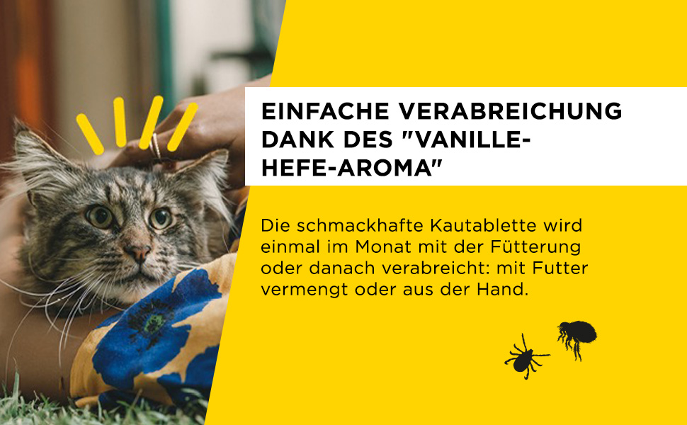AdTab Anwendung bei der Katze
