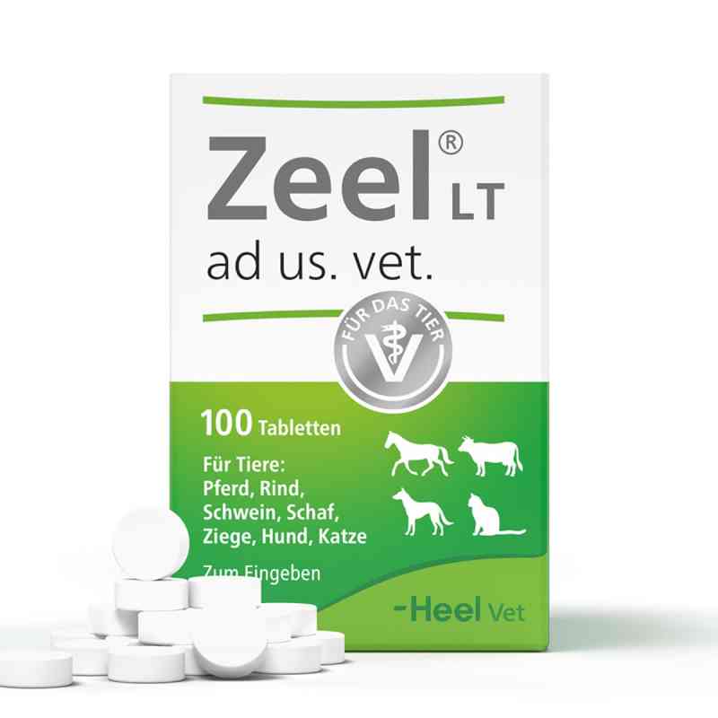 Zeel LT ad us. vet. Tabletten – Für Pferd, Hund, Katze & mehr