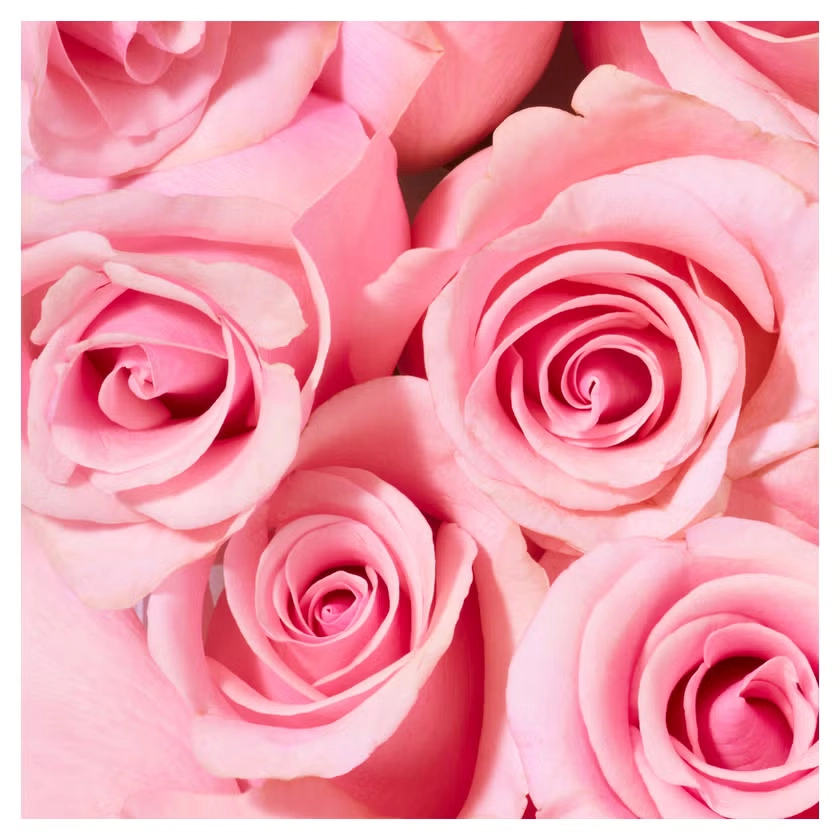 NUXE Very Rose Duschgel