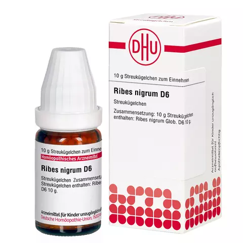 RIBES NIGRUM D 6 Globuli