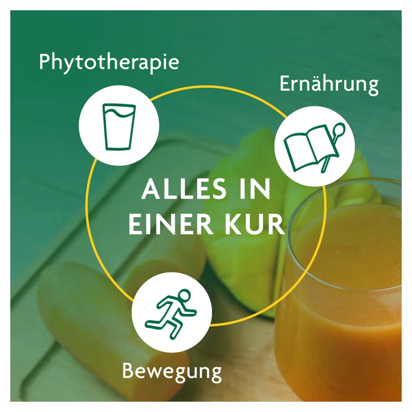 SCHLANKHEITSKUR Möhre-Mango Bio Schoenenberger
