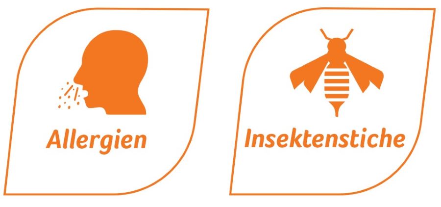 Fenistil Tropfen Wirkung bei Allergie