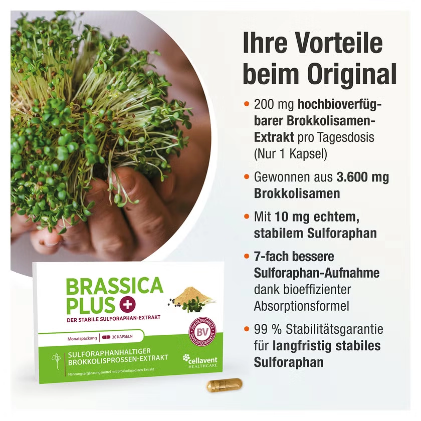BRASSICA PLUS Kapseln