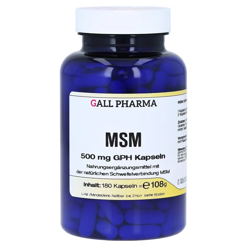 MSM 500 mg GPH Kapseln