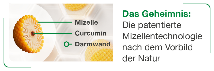 curcumin Loges patentierte Mizellentechnologie