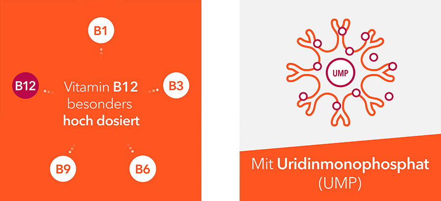 Neuropax-ratiopharm forte Wirkstoffe & Anwendung