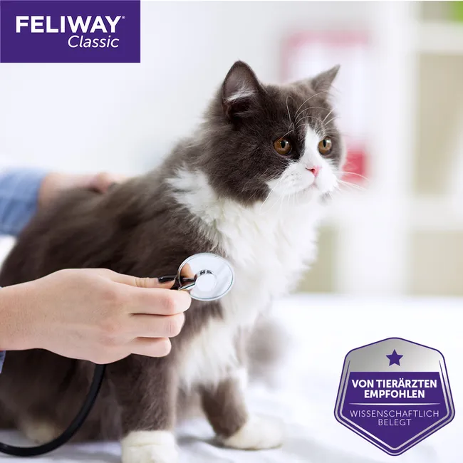 FELIWAY CLASSIC Spray f.Katzen