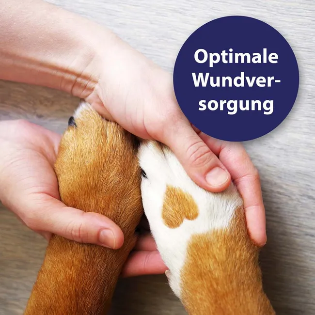 CANOSEPT Wundspray f.Hunde