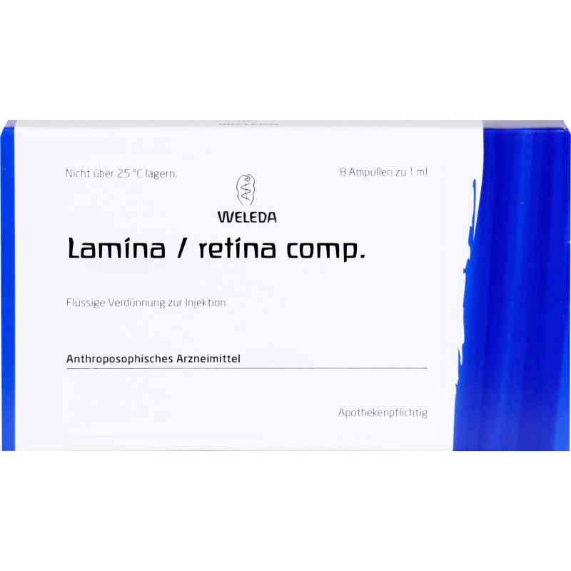 LAMINA/Retina comp.Ampullen
