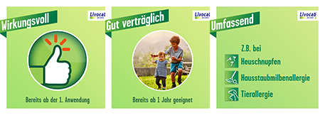 Livocab direkt Kombi Anwendung Augen und Nase