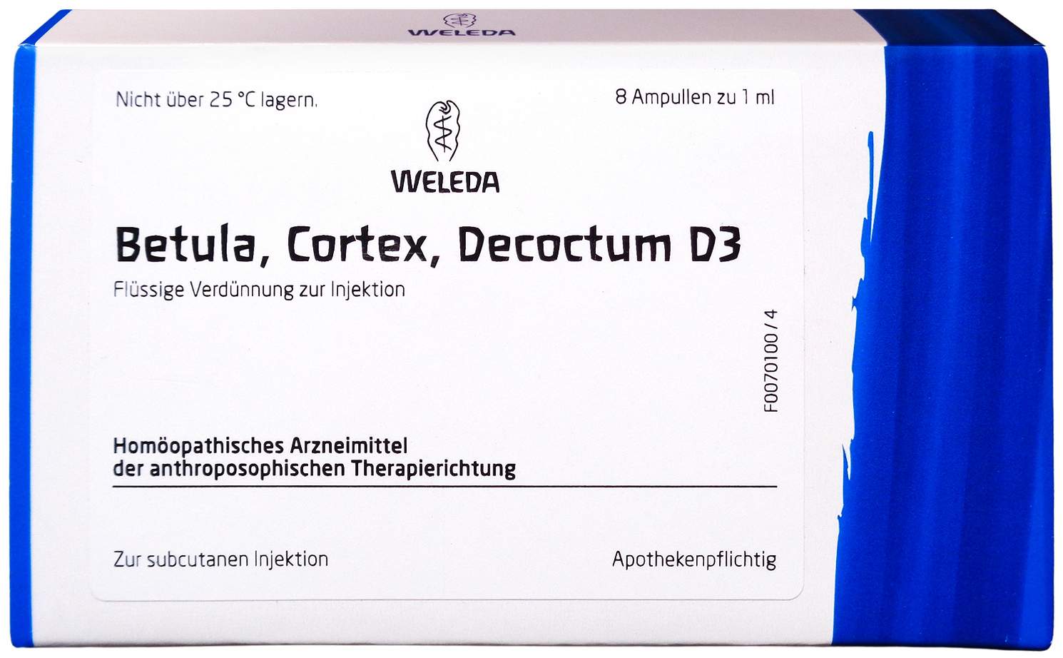 BETULA CORTEX Decoctum D 3 Ampullen