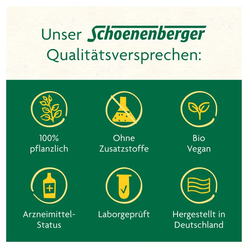 SCHLANKHEITSKUR Möhre-Mango Bio Schoenenberger