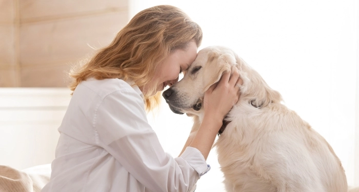 Gesunder und glücklicher Hund als Symbol für optimale Tiergesundheit