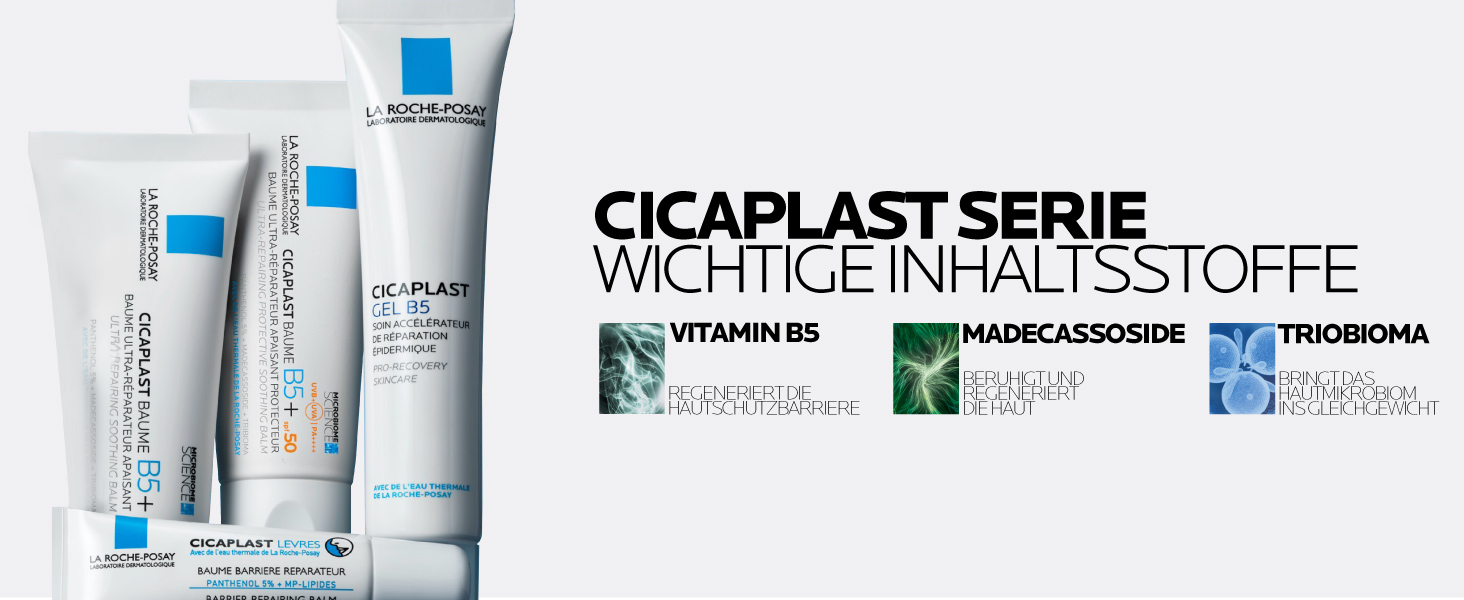 Cicaplast Serie – Inhaltsstoffe im Überblick