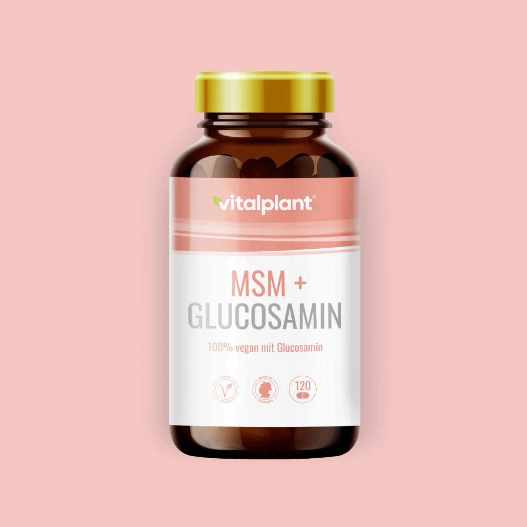 MSM+GLUCOSAMIN 1000 mg 500/500 Kapseln