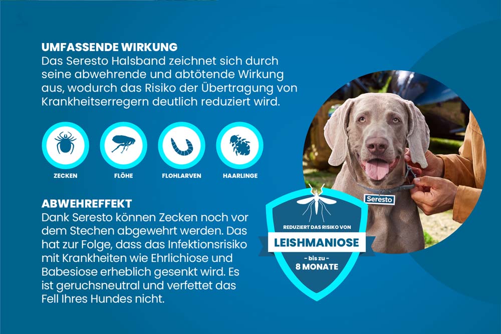 Seresto Halsband Anwendung am Hund